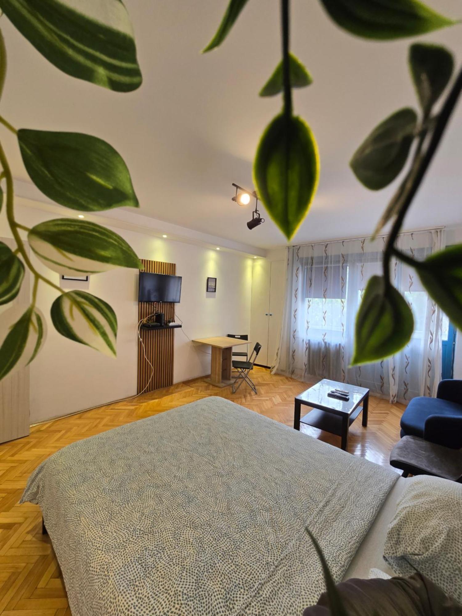 Azzurro Studio Apartment Βελιγράδι Εξωτερικό φωτογραφία